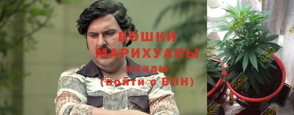 2c-b Богородицк