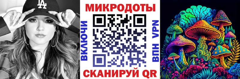 Купить закладки  Карабаш  Галлюциногенные грибы мухоморы 